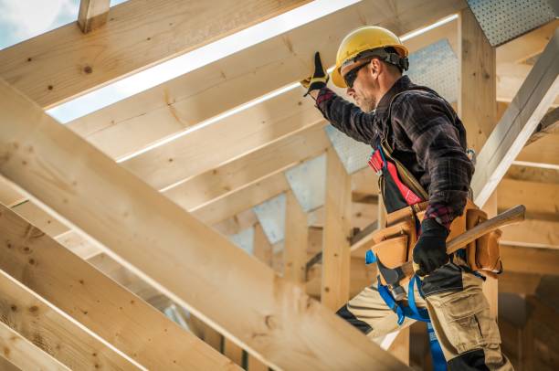 Best Roof Gutter Cleaning  in Midway South, TX