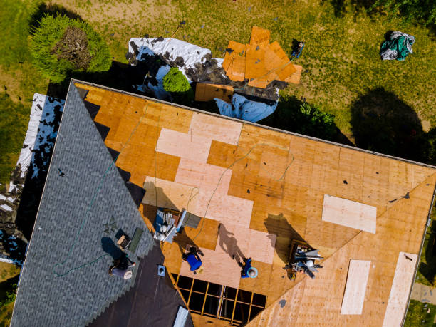 Best Storm Damage Roof Repair  in Midway South, TX